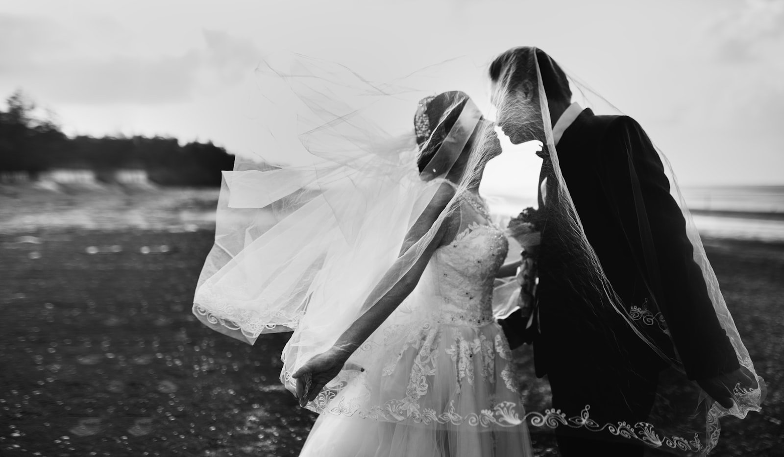 Wedding photo of Finn & Ale